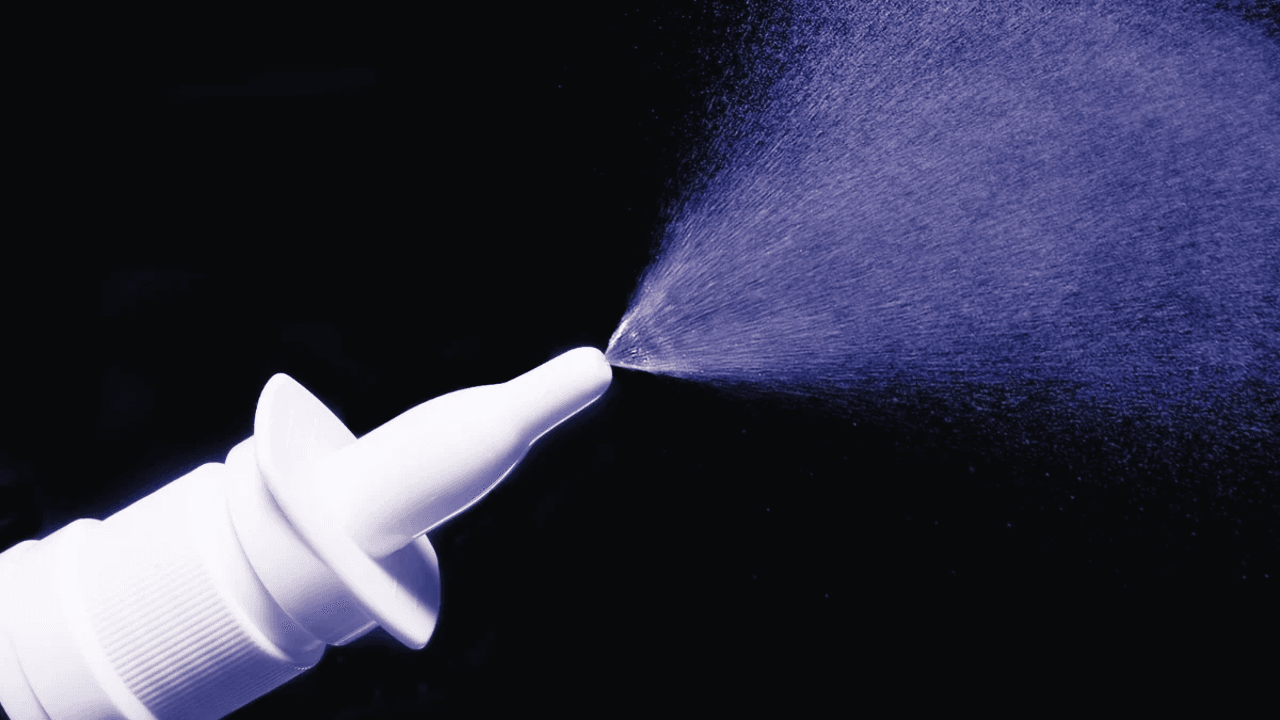 Scientists Restore Memory In Aging Mice Using a Simple Nasal Spray