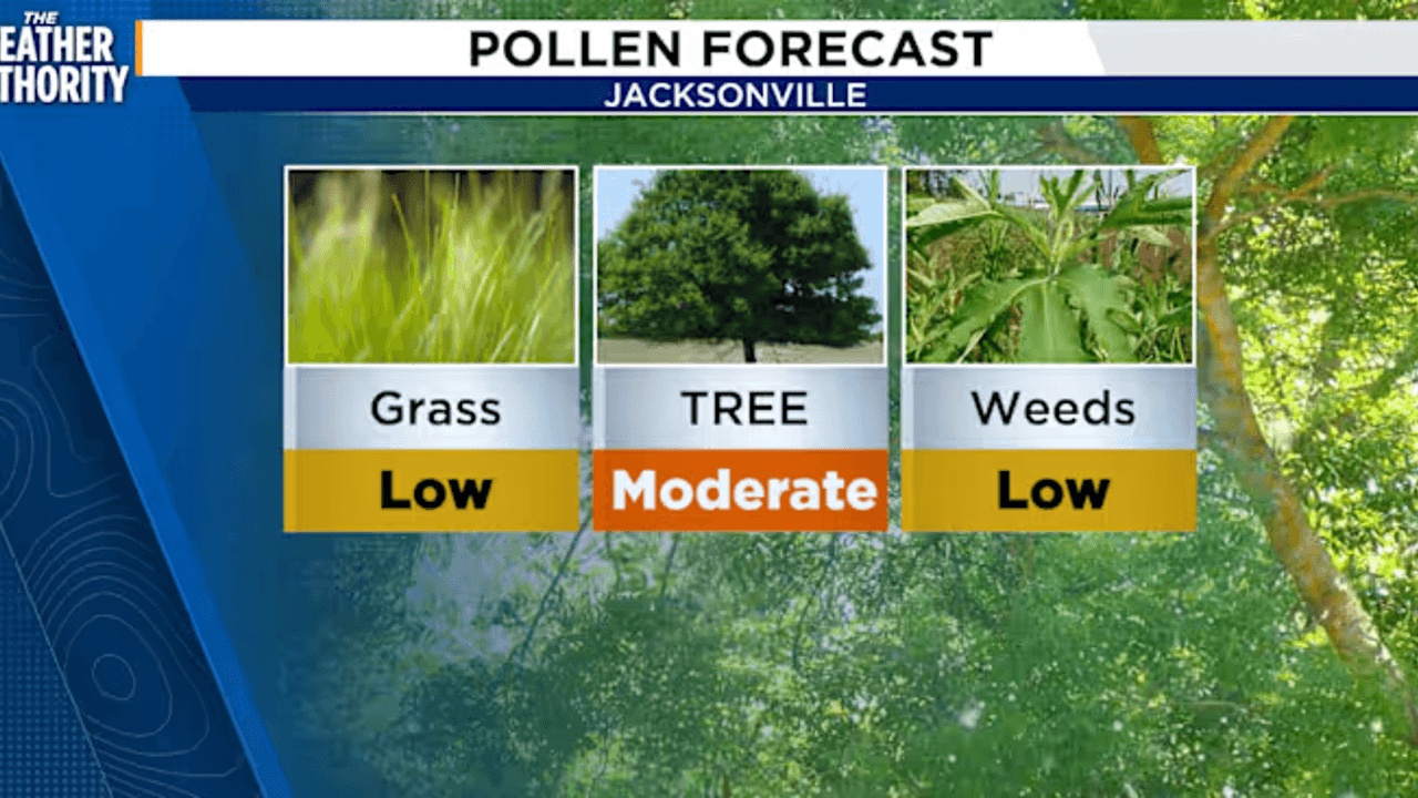 As March begins, all eyes are on warmer days, more sunshine, and allergies