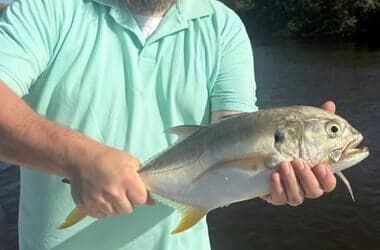 Fishing hot in South Florida