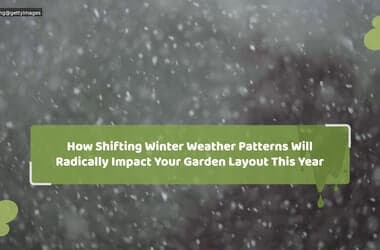 How Shifting Winter Weather Patterns Will Radically Impact Your Garden Layout This Year