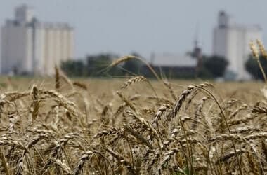 Kansas ranchers point to land, herd size in beef price debate