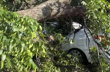 Storm damage leaves West Side neighbors in the dark, hoping power restored soon